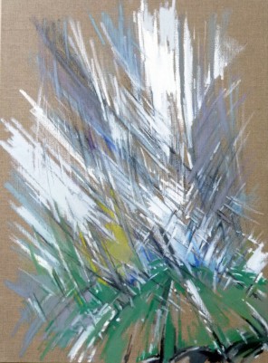 La nature Yves Baudry