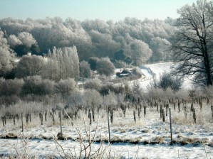 Photographie Yves Baudry