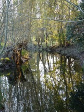 Photographie Yves Baudry