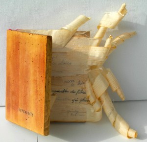 Livre objet Yves Baudry